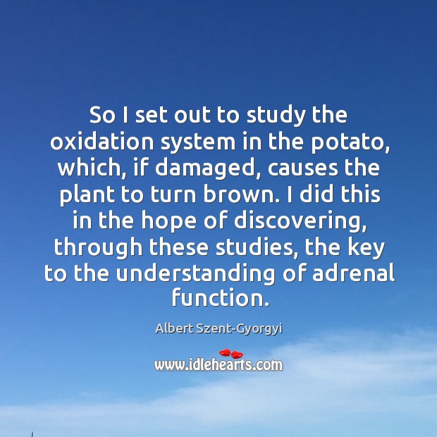 So I set out to study the oxidation system in the potato, which, if damaged, causes Image