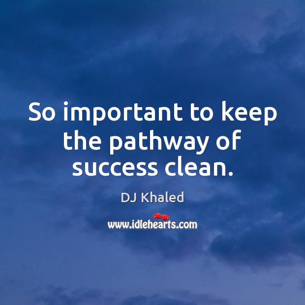 So important to keep the pathway of success clean. DJ Khaled Picture Quote