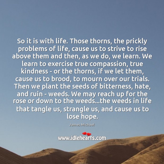 So it is with life. Those thorns, the prickly problems of life, James Michael Picture Quote