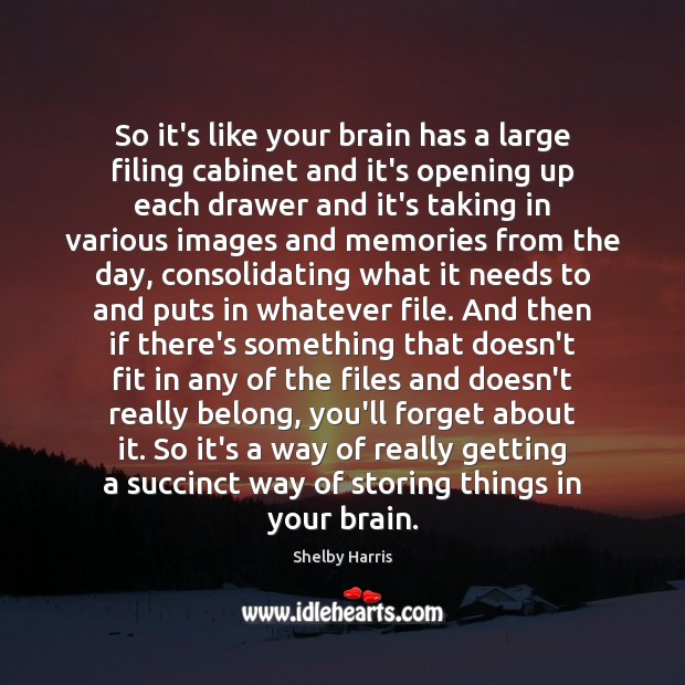 So it’s like your brain has a large filing cabinet and it’s Shelby Harris Picture Quote