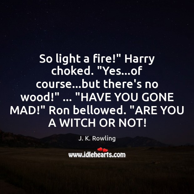 So light a fire!” Harry choked. “Yes…of course…but there’s no Image