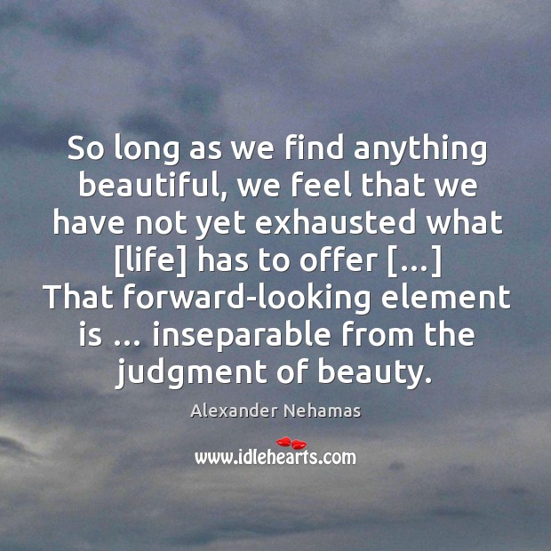 So long as we find anything beautiful, we feel that we have Alexander Nehamas Picture Quote