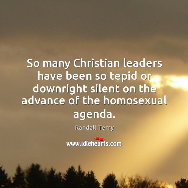 So many christian leaders have been so tepid or downright silent on the advance of the homosexual agenda. Randall Terry Picture Quote
