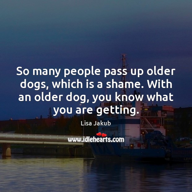 So many people pass up older dogs, which is a shame. With Lisa Jakub Picture Quote