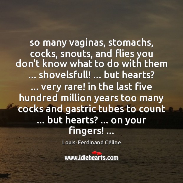 So many vaginas, stomachs, cocks, snouts, and flies you don’t know what Image
