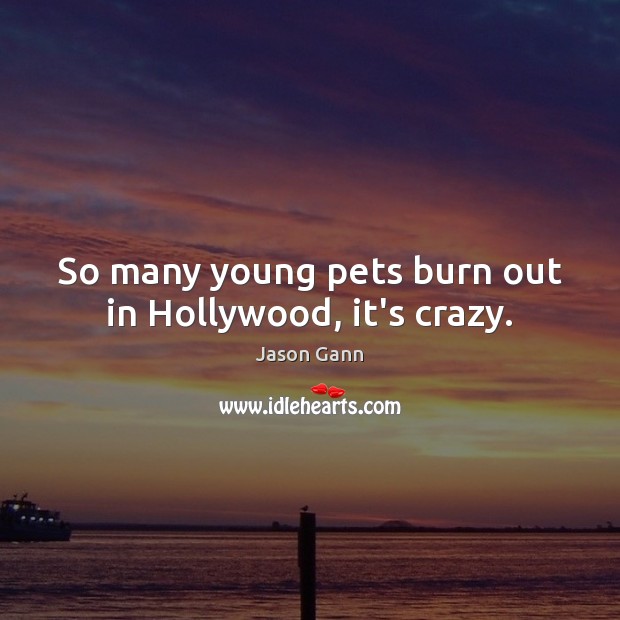 So many young pets burn out in Hollywood, it’s crazy. Jason Gann Picture Quote
