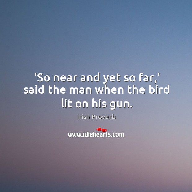 ‘so near and yet so far,’ said the man when the bird lit on his gun. Irish Proverbs Image