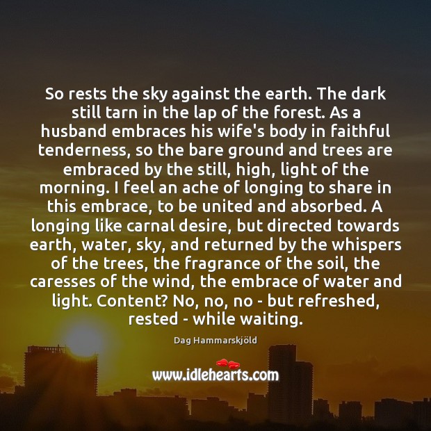 So rests the sky against the earth. The dark still tarn in Dag Hammarskjöld Picture Quote