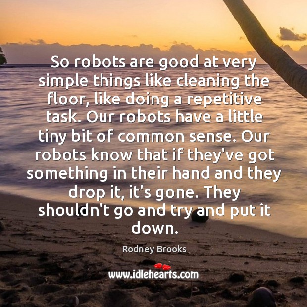 So robots are good at very simple things like cleaning the floor, Image