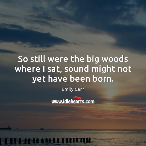 So still were the big woods where I sat, sound might not yet have been born. Image