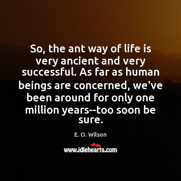 So, the ant way of life is very ancient and very successful. E. O. Wilson Picture Quote