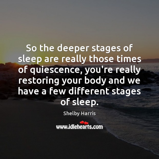 So the deeper stages of sleep are really those times of quiescence, Shelby Harris Picture Quote