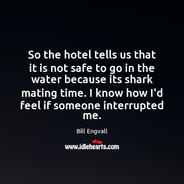 So the hotel tells us that it is not safe to go Bill Engvall Picture Quote