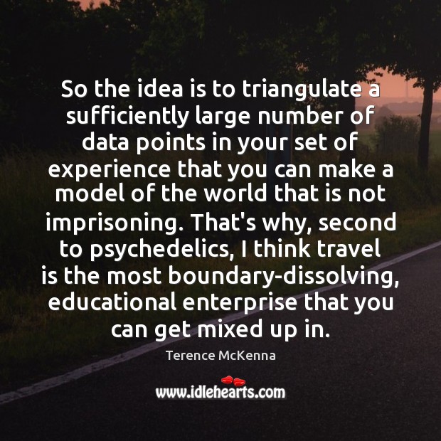 So the idea is to triangulate a sufficiently large number of data Terence McKenna Picture Quote