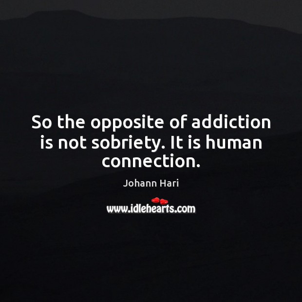 So the opposite of addiction is not sobriety. It is human connection. Addiction Quotes Image