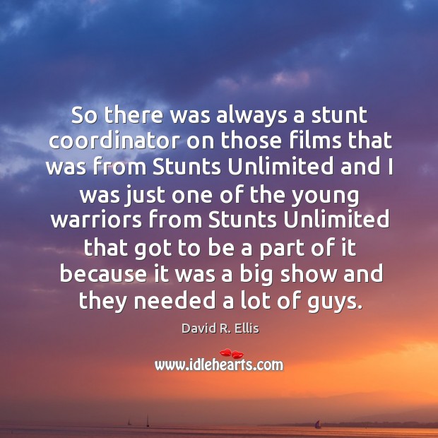 So there was always a stunt coordinator on those films that was from stunts unlimited David R. Ellis Picture Quote