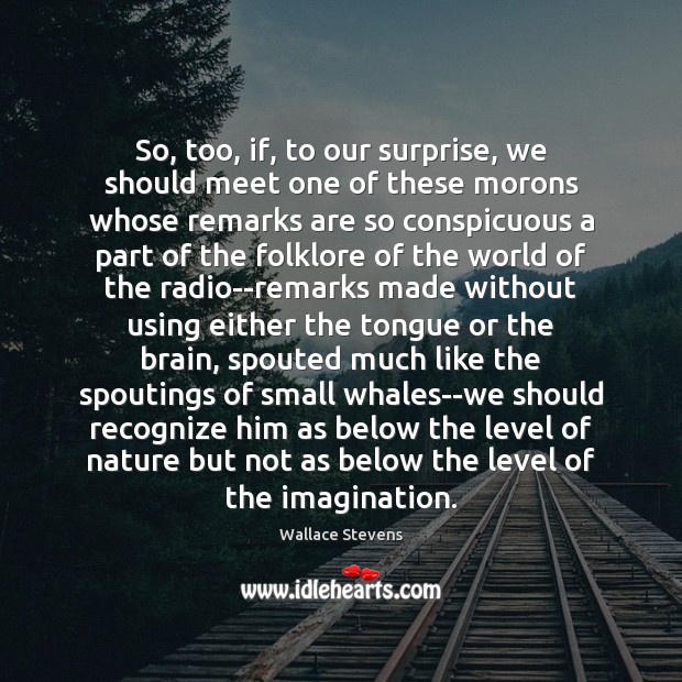 So, too, if, to our surprise, we should meet one of these Wallace Stevens Picture Quote
