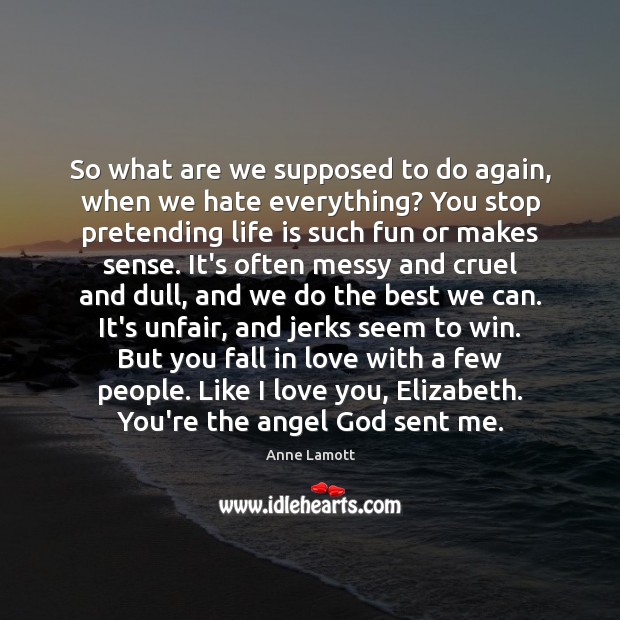 So what are we supposed to do again, when we hate everything? Anne Lamott Picture Quote