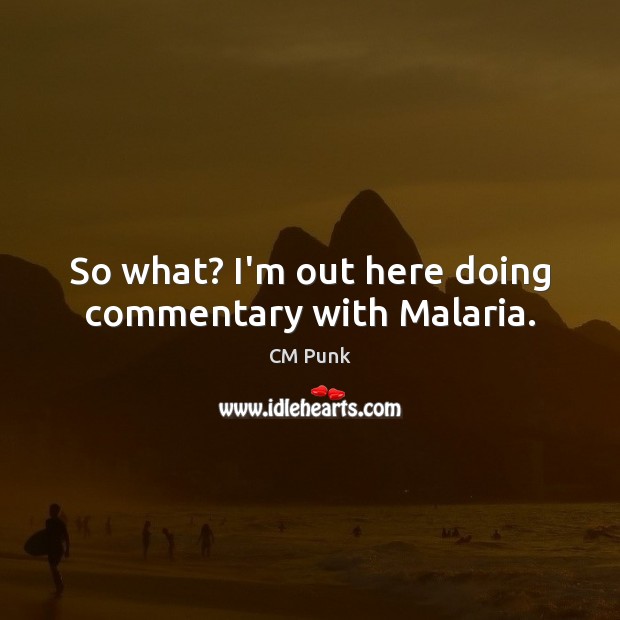 So what? I’m out here doing commentary with Malaria. CM Punk Picture Quote