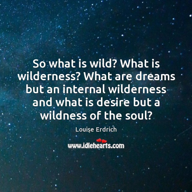 So what is wild? What is wilderness? What are dreams but an Image
