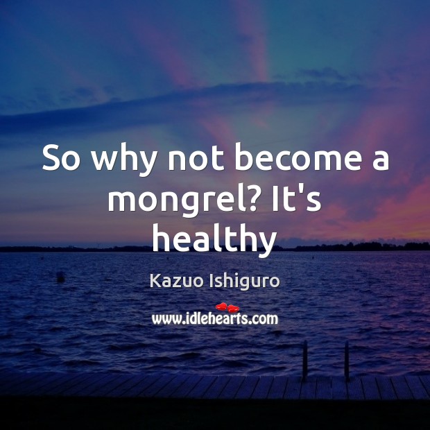So why not become a mongrel? It’s healthy Kazuo Ishiguro Picture Quote