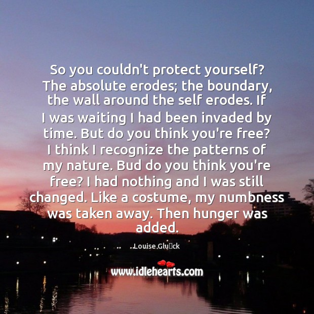 So you couldn’t protect yourself? The absolute erodes; the boundary, the wall Louise Glück Picture Quote