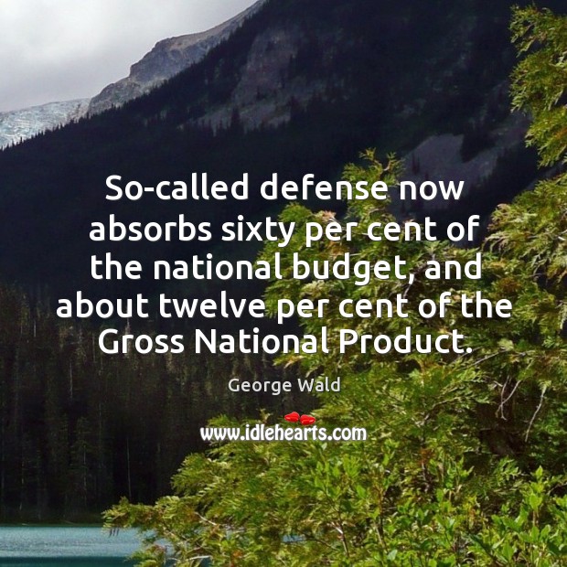 So-called defense now absorbs sixty per cent of the national budget, and about twelve Image