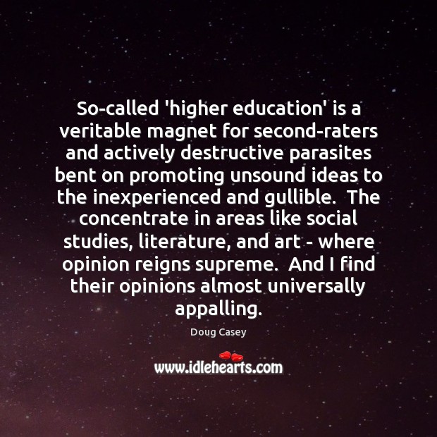 So-called ‘higher education’ is a veritable magnet for second-raters and actively destructive 