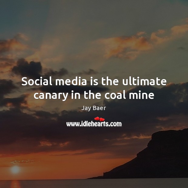 Social media is the ultimate canary in the coal mine. Jay Baer Picture Quote