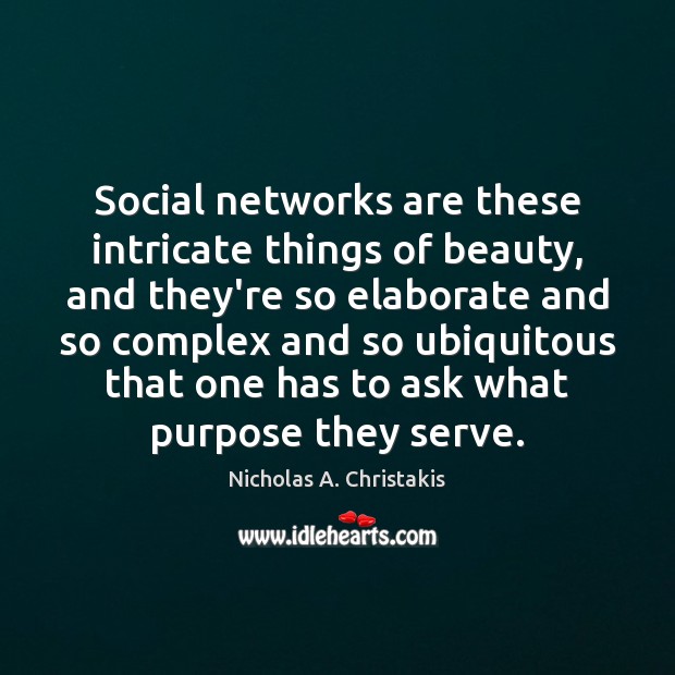 Social networks are these intricate things of beauty, and they’re so elaborate Nicholas A. Christakis Picture Quote