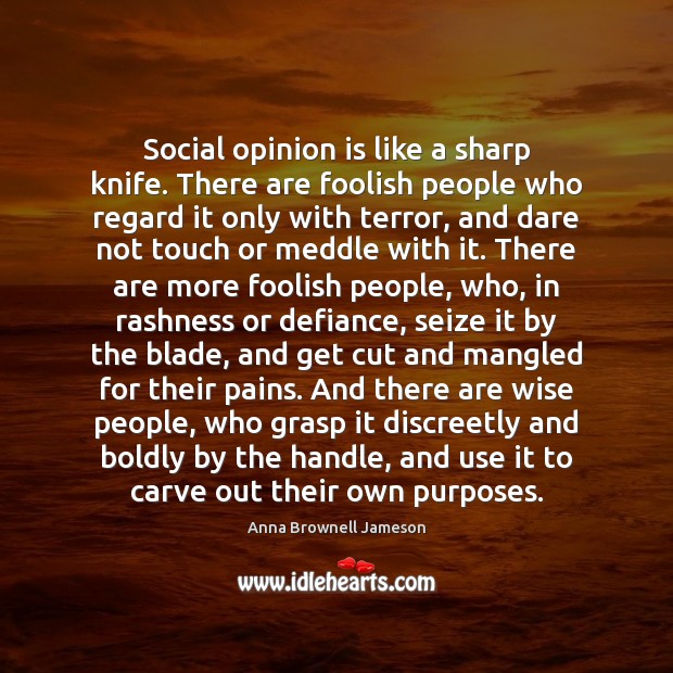 Social opinion is like a sharp knife. There are foolish people who Anna Brownell Jameson Picture Quote