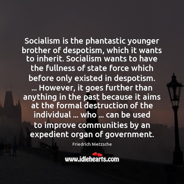 Socialism is the phantastic younger brother of despotism, which it wants to 