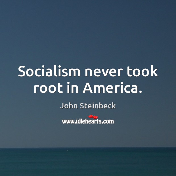 Socialism never took root in America. John Steinbeck Picture Quote