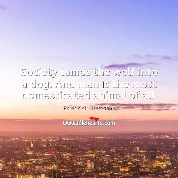 Society tames the wolf into a dog. And man is the most domesticated animal of all. Friedrich Nietzsche Picture Quote