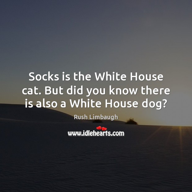 Socks is the White House cat. But did you know there is also a White House dog? Rush Limbaugh Picture Quote