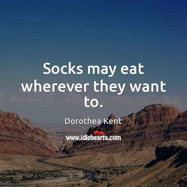 Socks may eat wherever they want to. Image