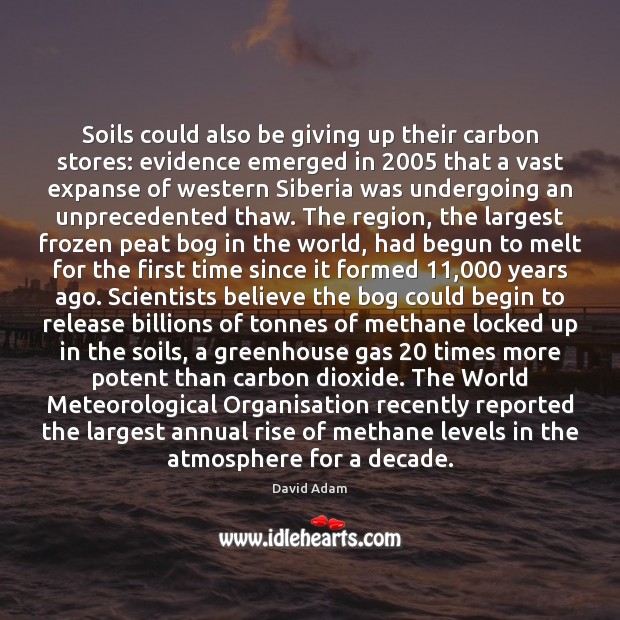 Soils could also be giving up their carbon stores: evidence emerged in 2005 Image