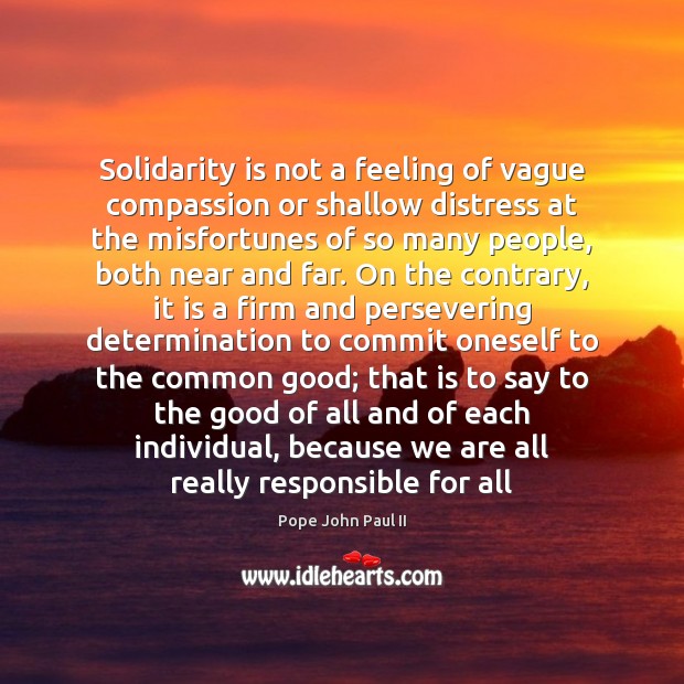 Solidarity is not a feeling of vague compassion or shallow distress at Pope John Paul II Picture Quote