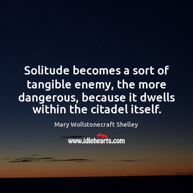Solitude becomes a sort of tangible enemy, the more dangerous, because it Mary Wollstonecraft Shelley Picture Quote