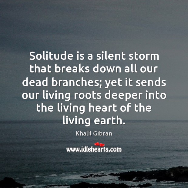 Solitude is a silent storm that breaks down all our dead branches; Image
