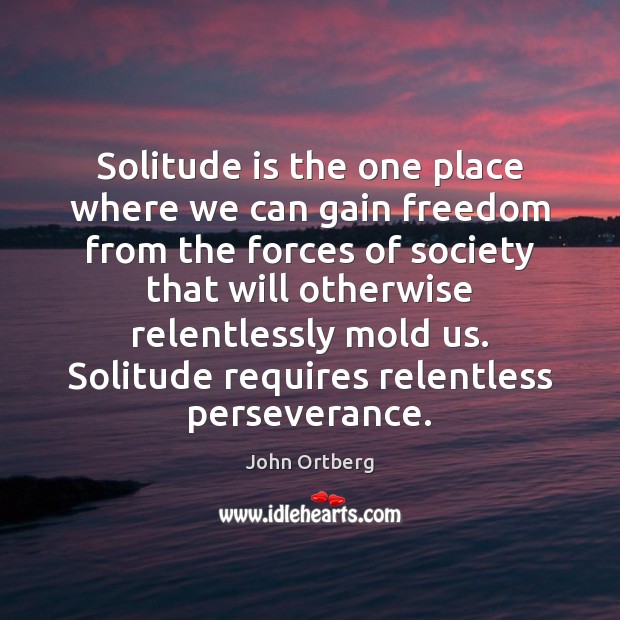 Solitude is the one place where we can gain freedom from the John Ortberg Picture Quote