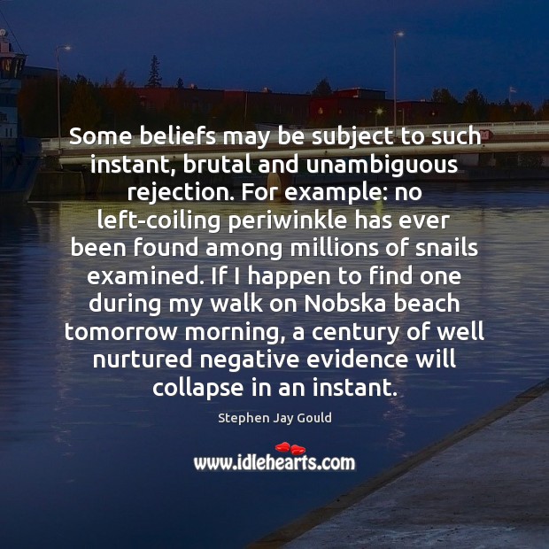 Some beliefs may be subject to such instant, brutal and unambiguous rejection. Stephen Jay Gould Picture Quote