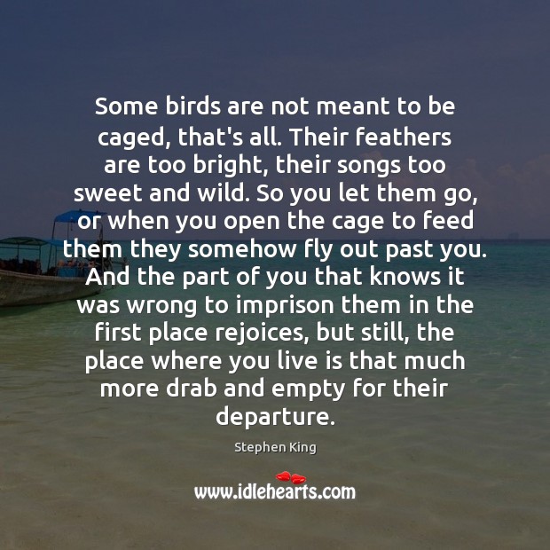 Some birds are not meant to be caged, that’s all. Their feathers 
