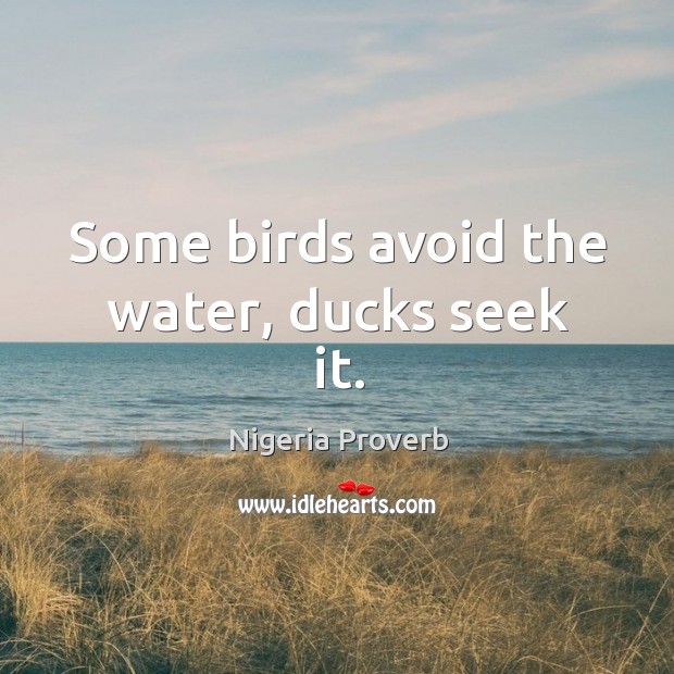 Some birds avoid the water, ducks seek it. Nigeria Proverbs Image
