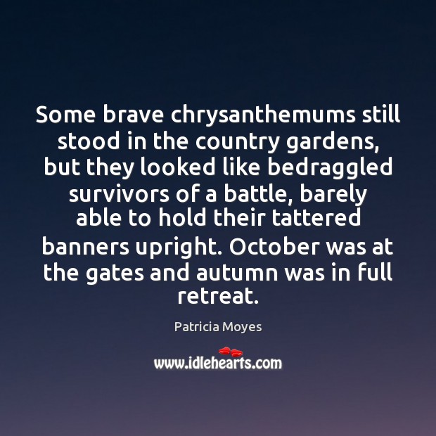 Some brave chrysanthemums still stood in the country gardens, but they looked Patricia Moyes Picture Quote