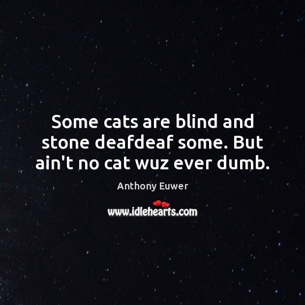 Some cats are blind and stone deafdeaf some. But ain’t no cat wuz ever dumb. Anthony Euwer Picture Quote