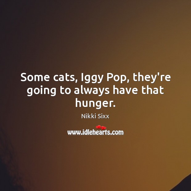 Some cats, Iggy Pop, they’re going to always have that hunger. Nikki Sixx Picture Quote
