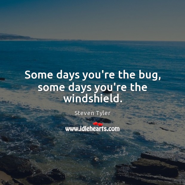 Some days you’re the bug, some days you’re the windshield. Steven Tyler Picture Quote