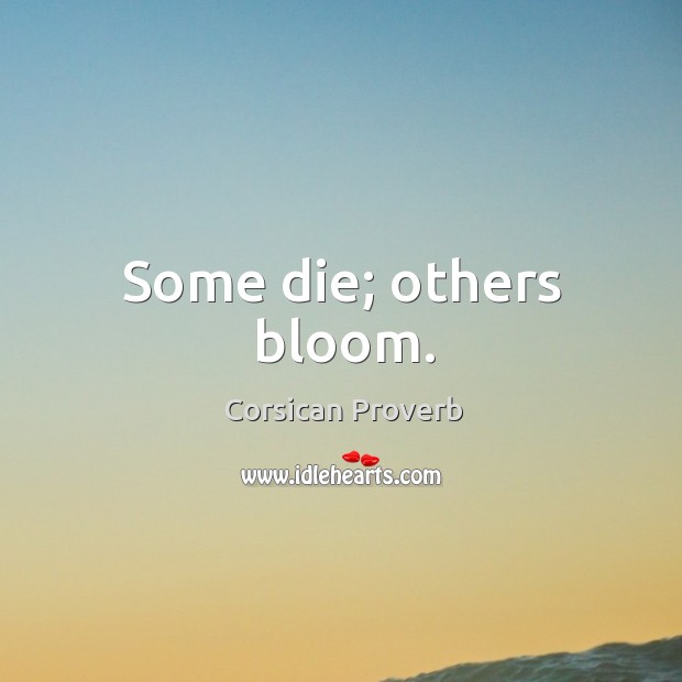 Some die; others bloom. Image