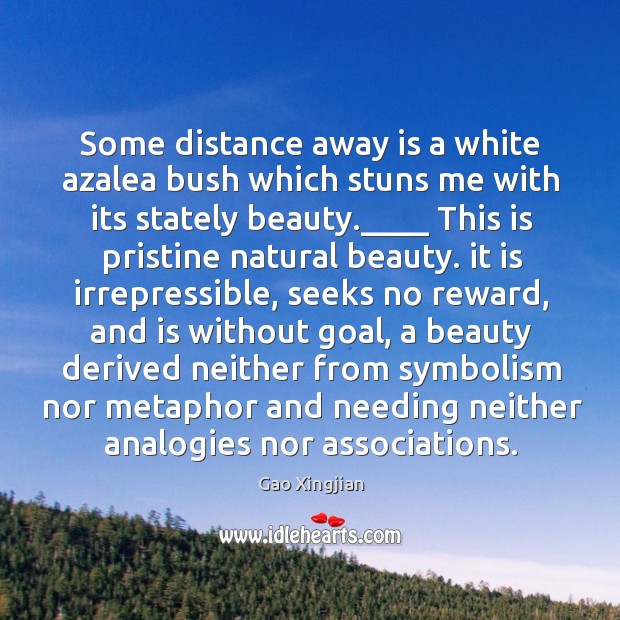 Some distance away is a white azalea bush which stuns me with Gao Xingjian Picture Quote